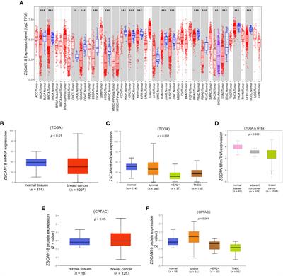 Zinc finger and SCAN domain-containing protein 18 is a potential DNA methylation-modified tumor suppressor and biomarker in breast cancer